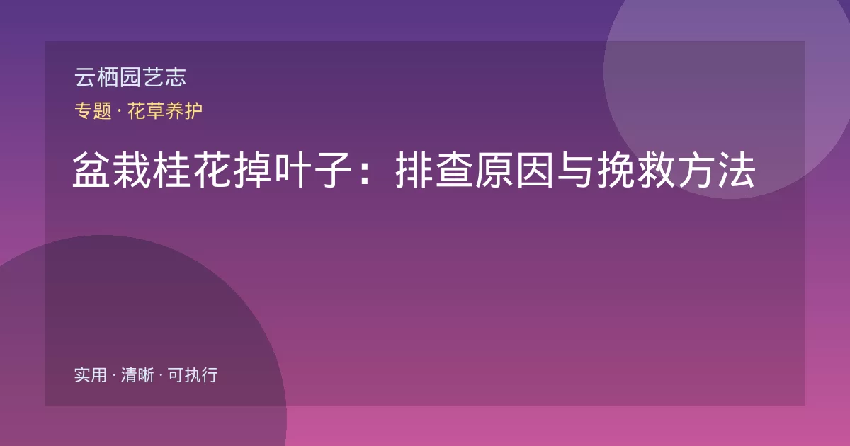 盆栽桂花掉叶子：排查原因与挽救方法